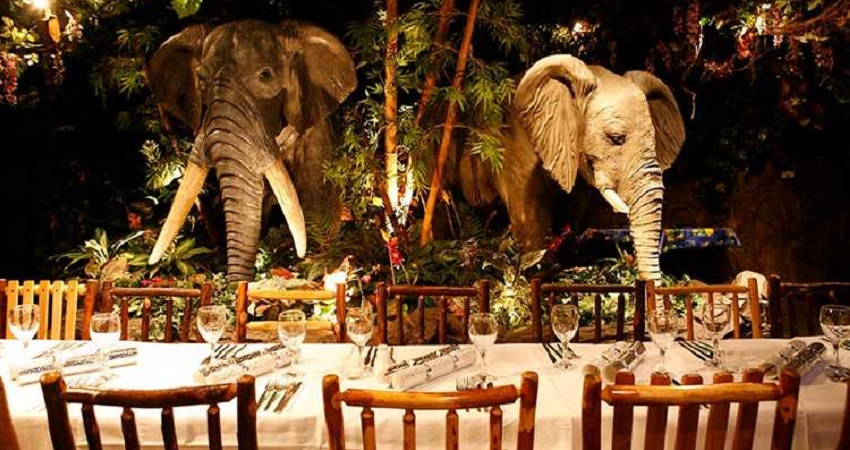 Rainforest Cafe Niagara Falls